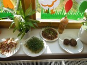 Pozorujeme jak klíčí a rostou semínka